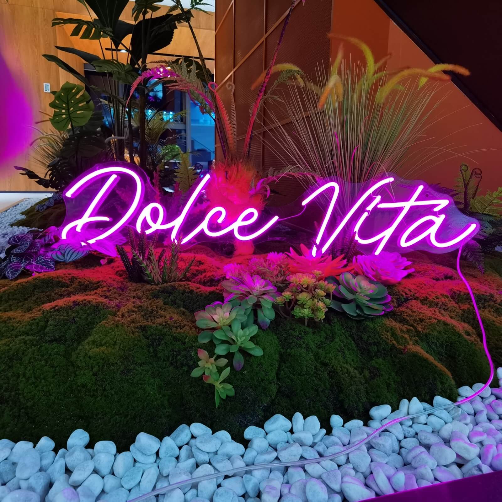Neonleuchtschriftzug Dolce Vita.jpeg__PID:378922d3-8e83-43ec-b66a-74cf08f67a9d