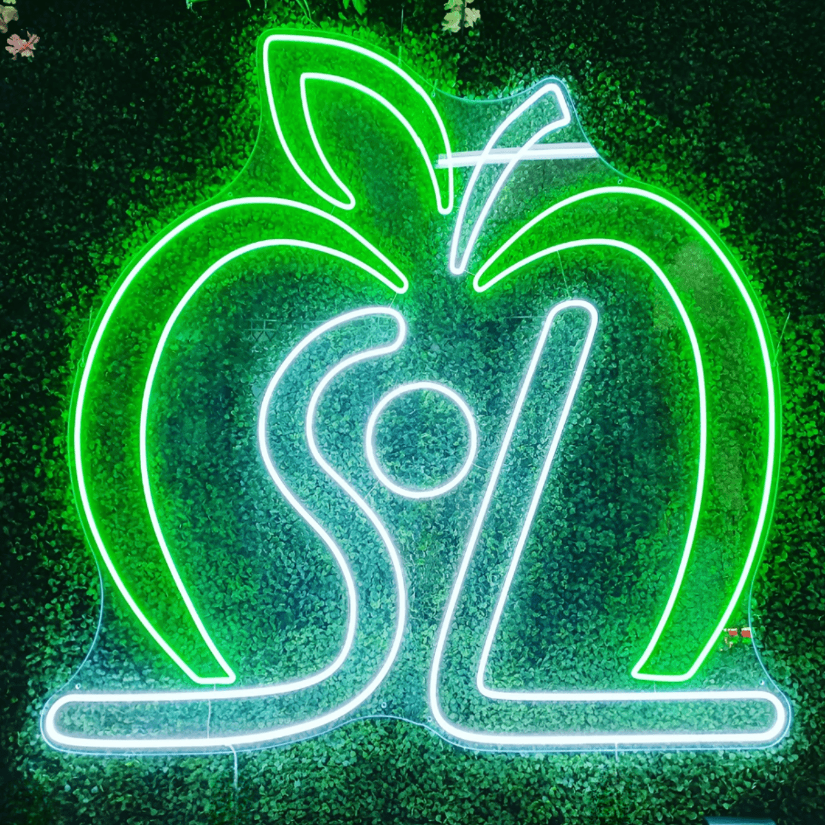 Neonschild Projekt 2